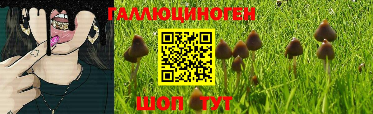 Галлюциногенные грибы Magic Shrooms Уссурийск